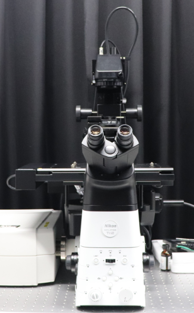 Confocal microscope Nikon A1R