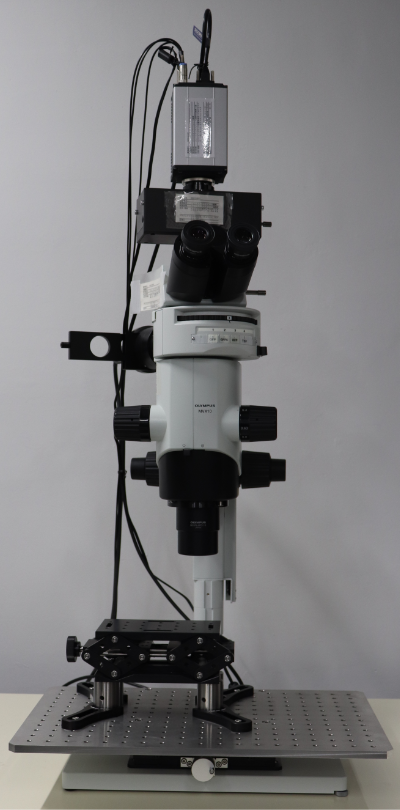 Macro zoom microscope OLYMPUS MVX-10
