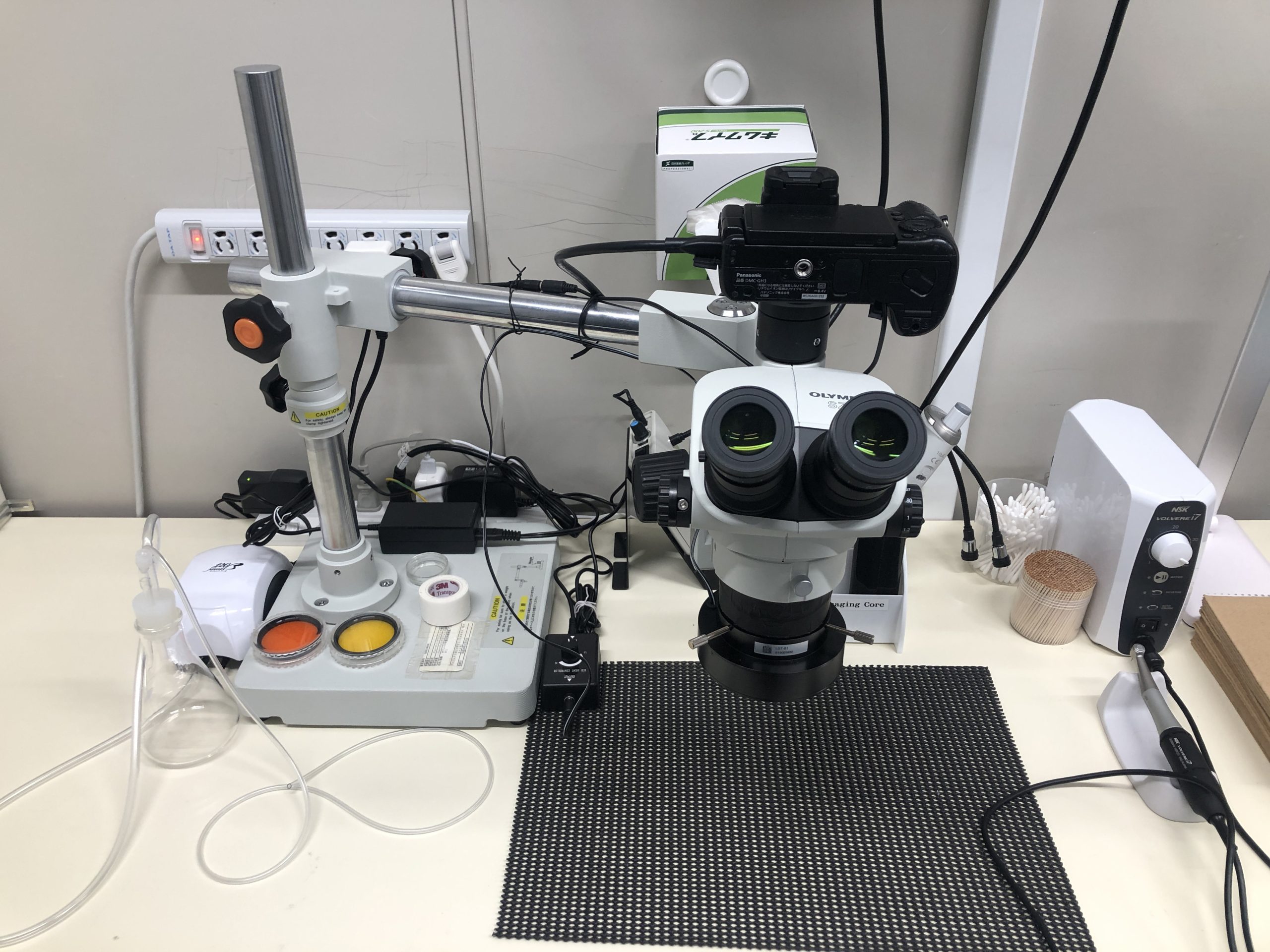 Ultra-wide two-photon microscopy