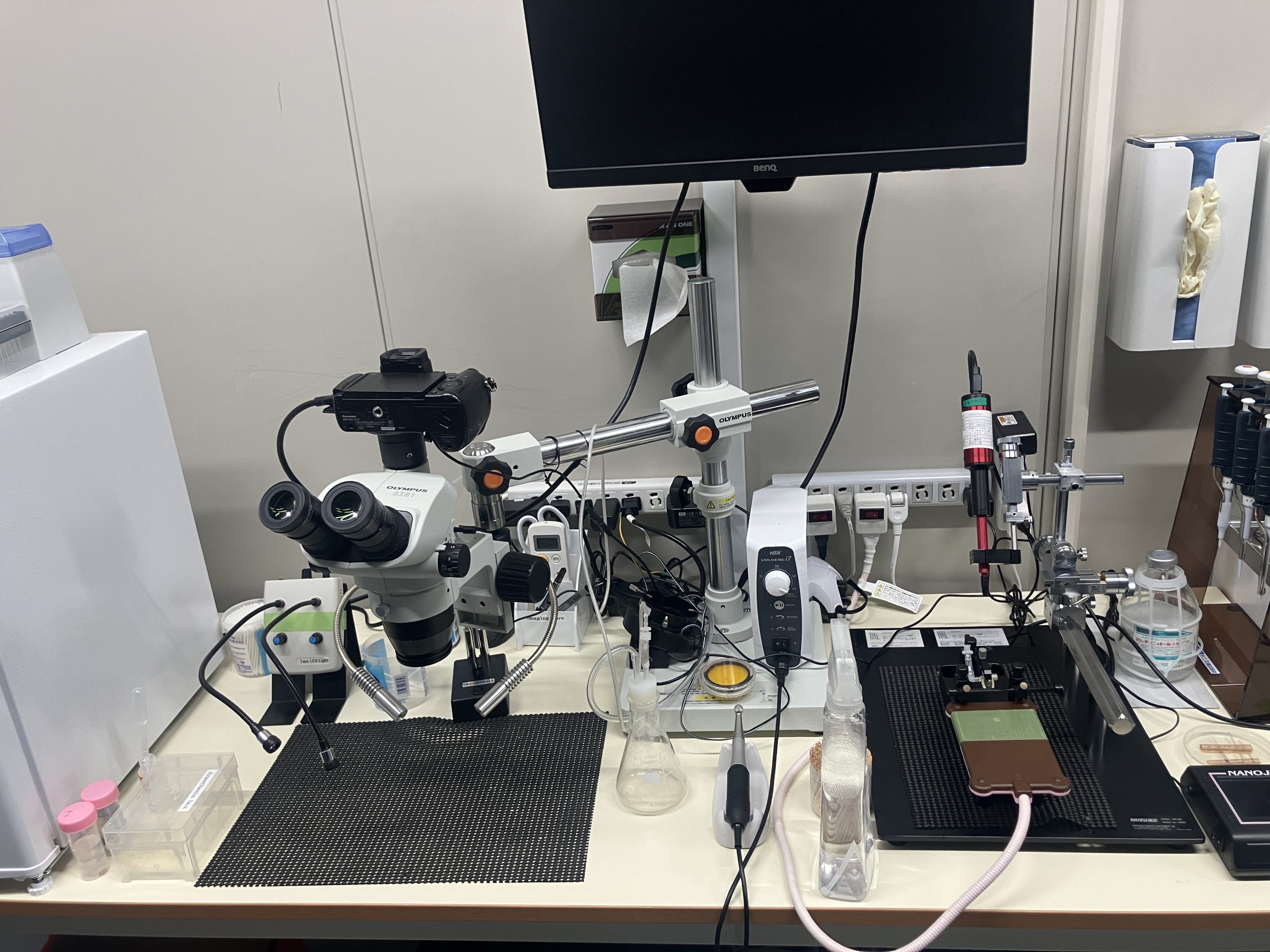 Ultra-wide two-photon microscopy